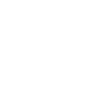 Papel Ilustrado